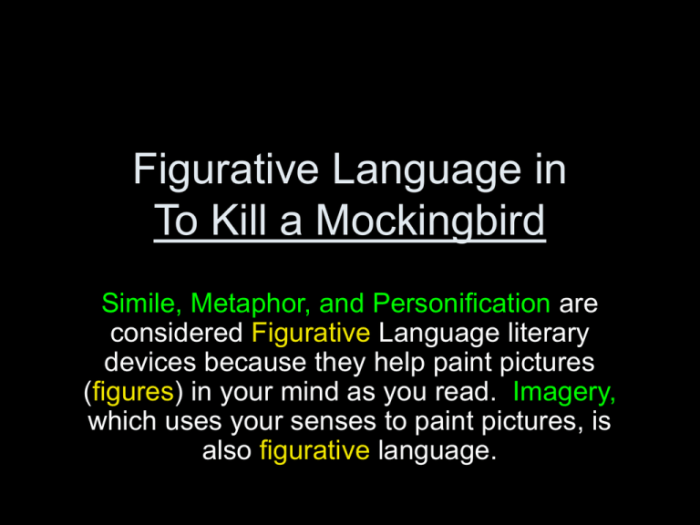 To kill a mockingbird figurative language