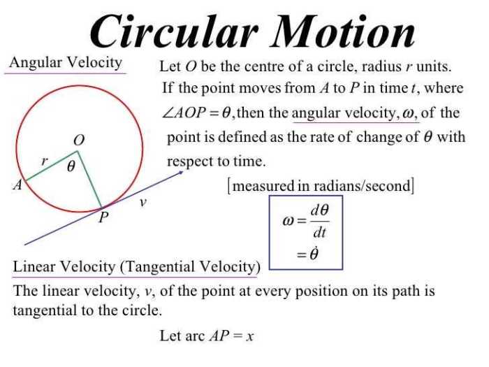 Uniform circular motion gizmo answers