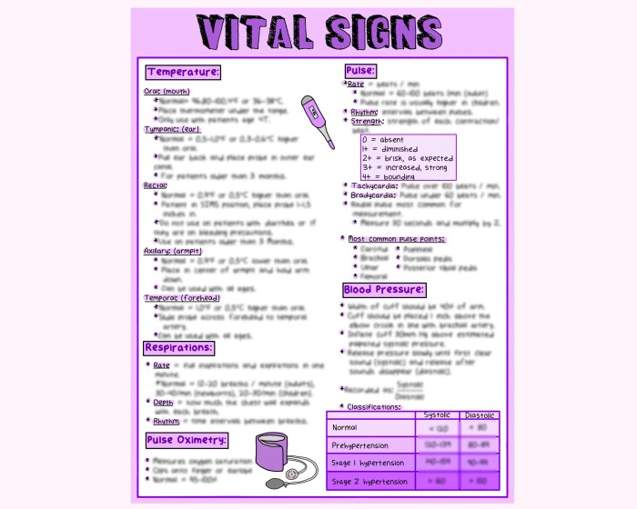 Rn vital signs assessment 2.0