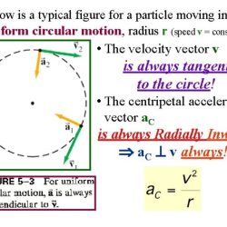 Uniform circular motion gizmo answers