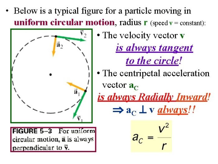 Uniform circular motion gizmo answers