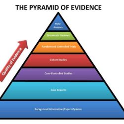 Evidence seized property public safety audits basics knowing department