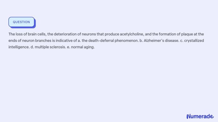 Alzheimer's disease involves a deterioration of neurons that produce