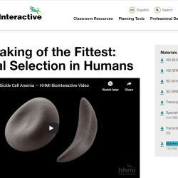 Making of the fittest natural selection and adaptation answers